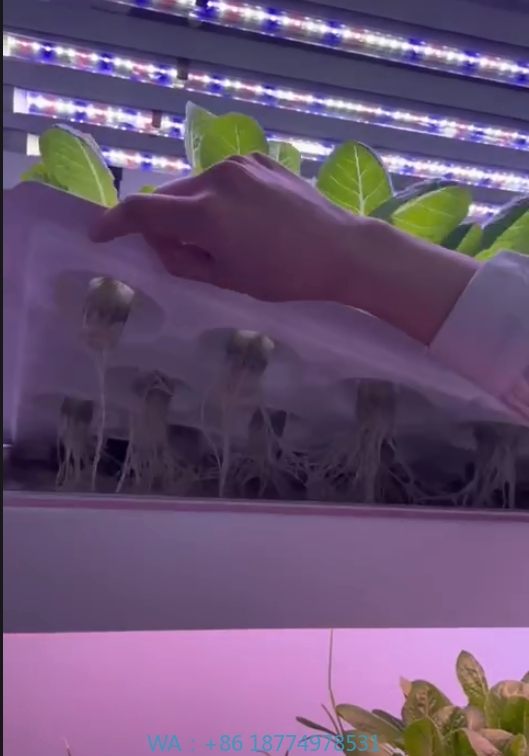 Hydroponic Tower - 온실 농업 장비 버섯 채소 과일