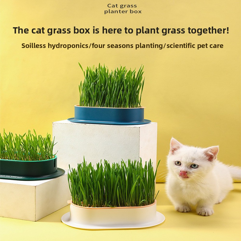 Hydroponic Grow Pod - 애완 동물 용품 고양이 간식 고양이