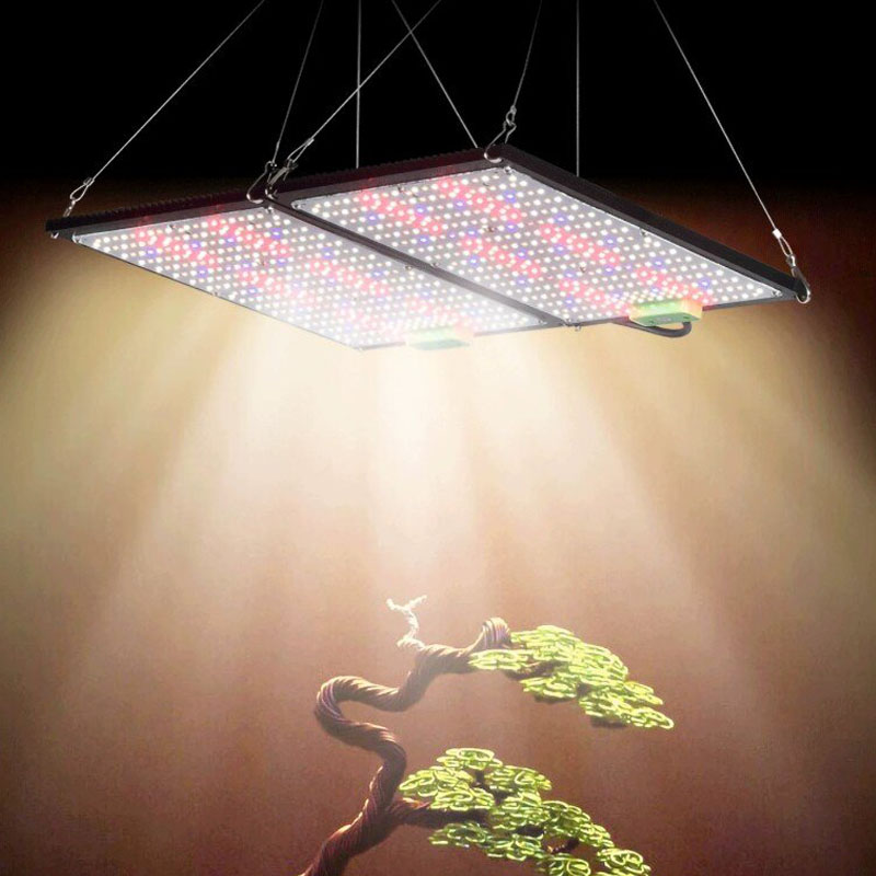 LED 퀀텀보드 식물 재배 조명, 실내 온실 채소 및  - Plant Grow Light Full Spectrum 리뷰 및 가격