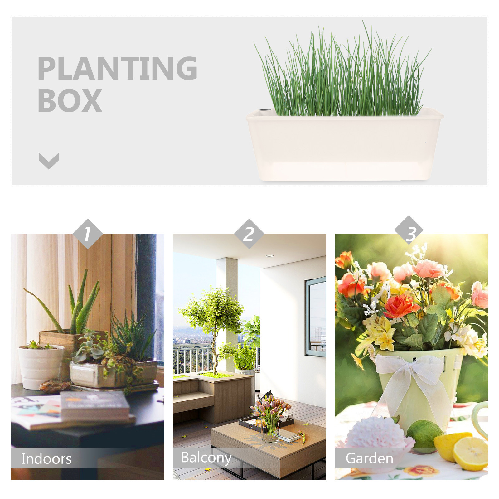직사각형 화분, 긴 플라스틱 창문형 화분, 발코니용 자 - Self Watering Planter 리뷰 및 가격