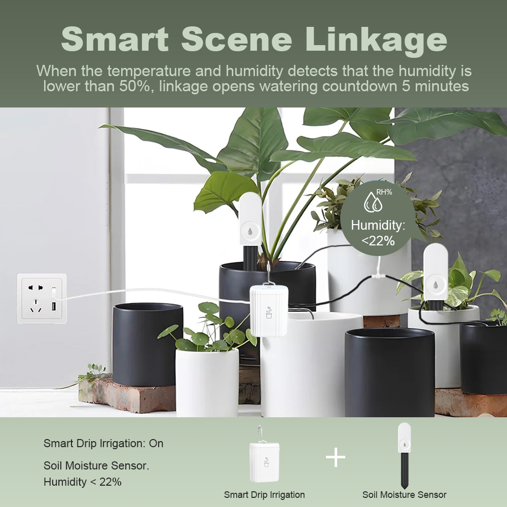5개입 ZigBee 3.0 토양 수분 측정기 편리한 정 - Garden Camera 리뷰 및 가격