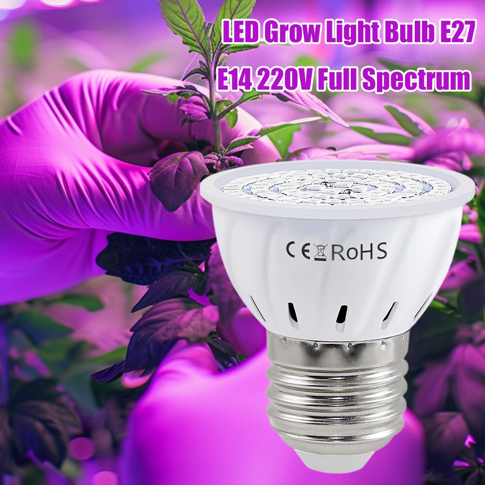 LED 성장 전구 E27 60 80LED 풀 스펙트럼  - Plant Grow Light Full Spectrum 리뷰 및 가격