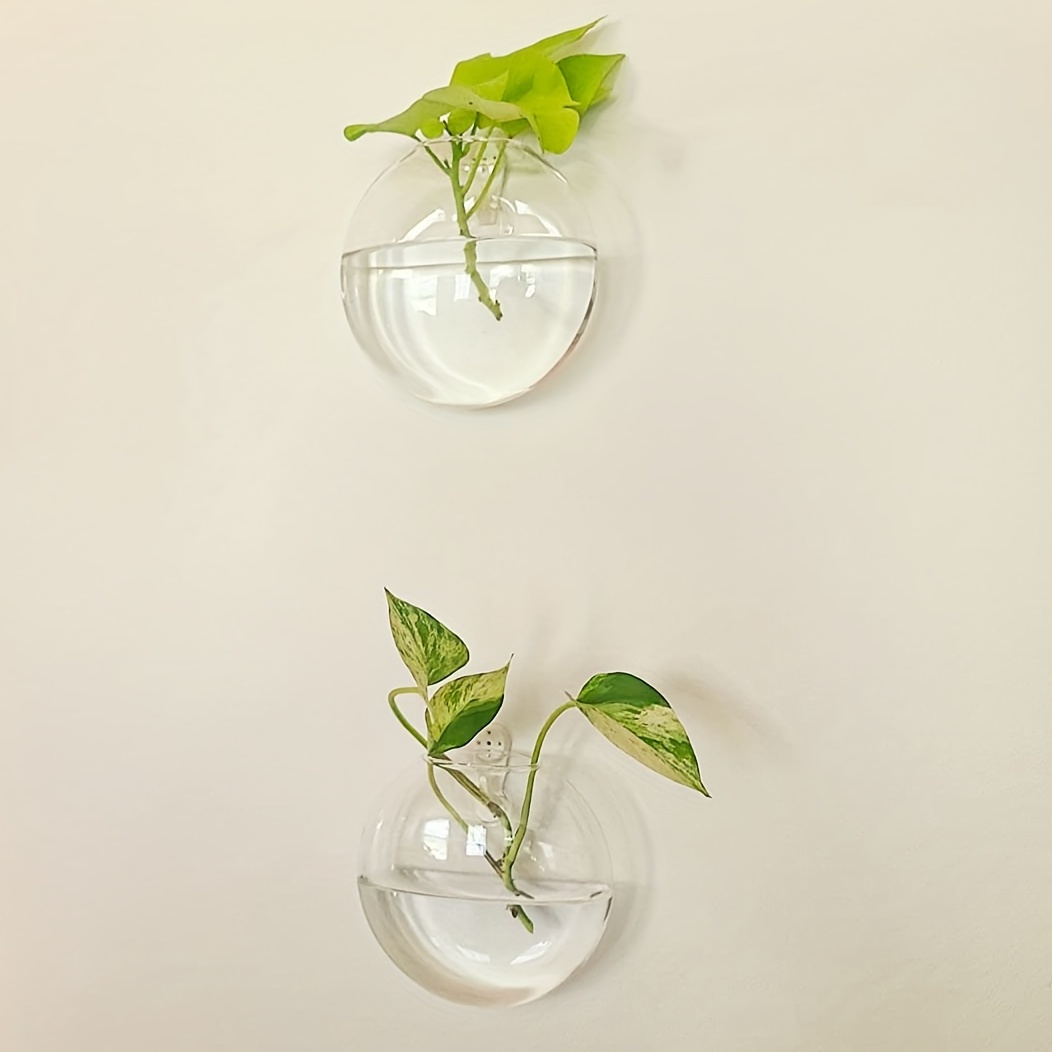 2개/4개/6개 세트, 벽걸이형 유리 테라리움 화분,  - Hydroponic Grow Pod 리뷰 및 가격