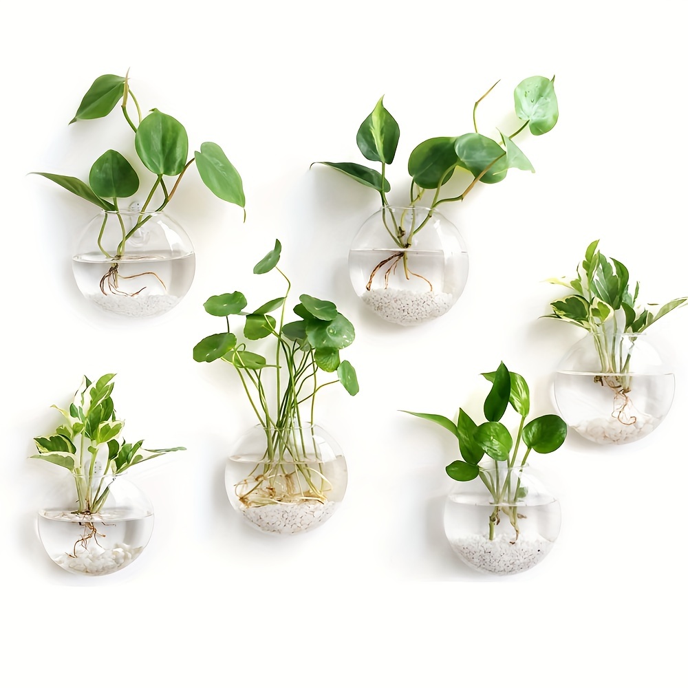 2개/4개/6개 세트, 벽걸이형 유리 테라리움 화분,  - Hydroponic Grow Pod 리뷰 및 가격