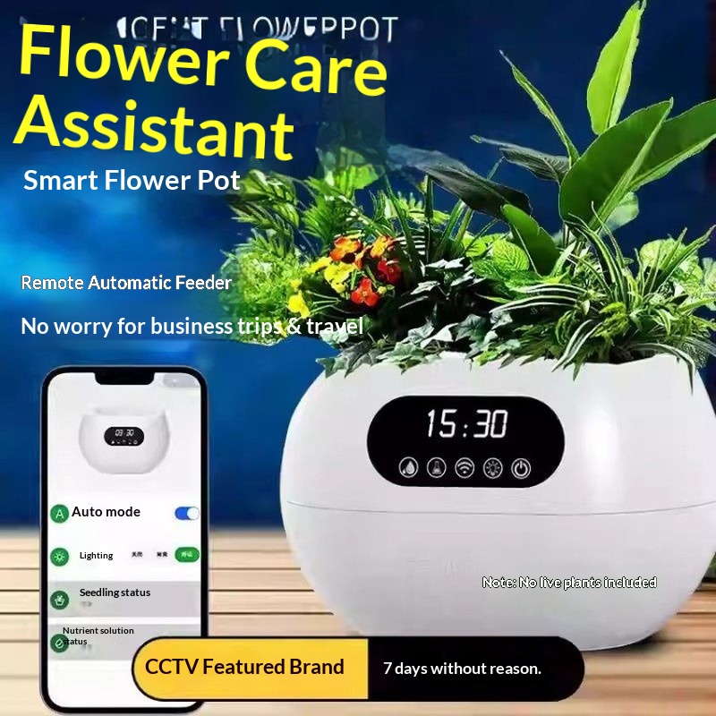 AI 지능형 화분 자동 급수 영양 공급 휴대폰 원격 제 - Automatic Watering 리뷰 및 가격
