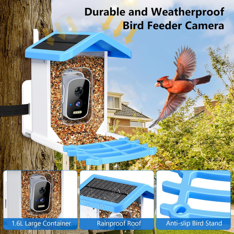 카메라가 장착된 WiFi 스마트 새 먹이통, AI 조류 - Garden Camera 리뷰 및 가격