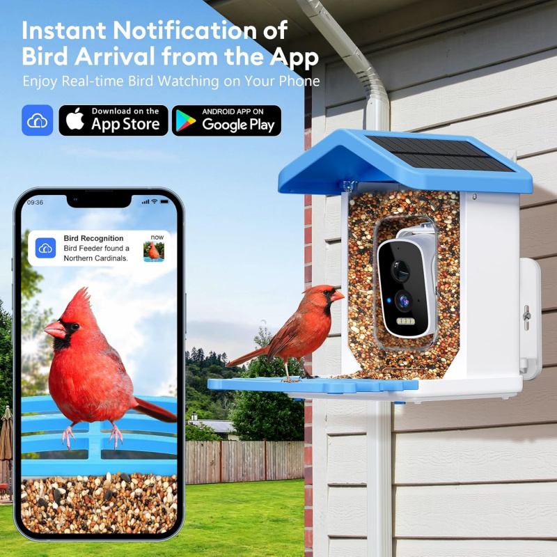 카메라가 장착된 WiFi 스마트 새 먹이통, AI 조류 - Garden Camera 리뷰 및 가격