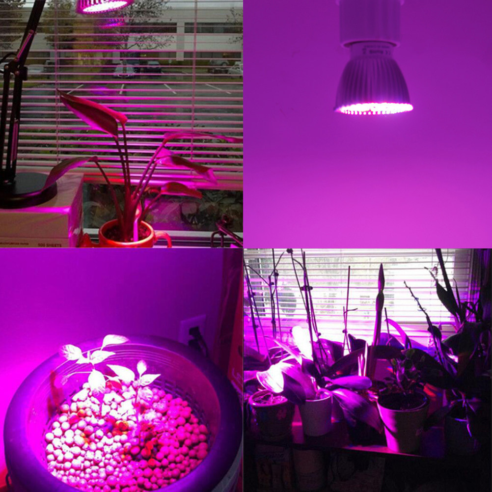 LED 식물 생장용 조명, 풀 스펙트럼, 업그레이드된  - Plant Grow Light Full Spectrum 리뷰 및 가격