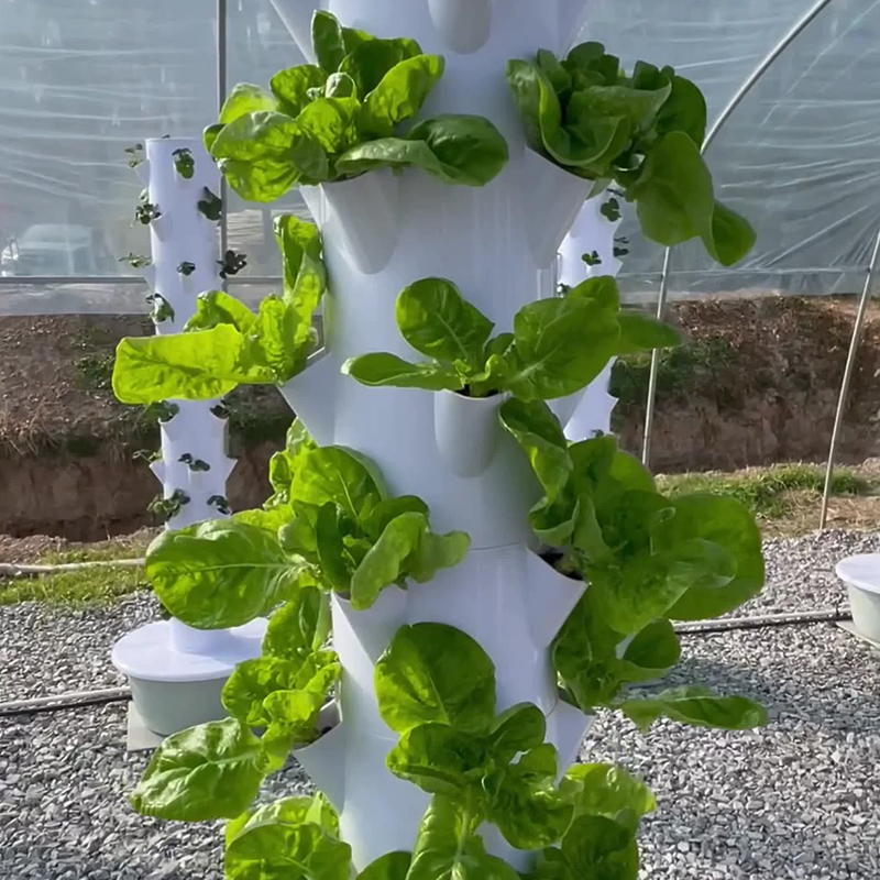 LED 식물 재배등을 갖춘 수직 수경 재배 타워, 지능 - Hydroponic Tower 리뷰 및 가격