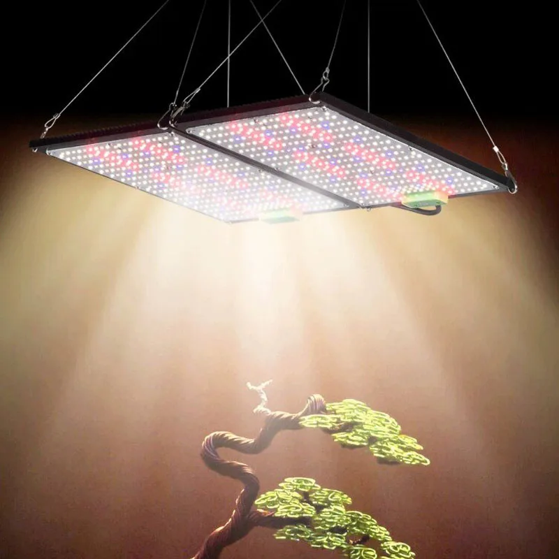 LED 퀀텀보드 식물 재배 조명, 실내 온실 채소 및  - Plant Grow Light Full Spectrum 리뷰 및 가격