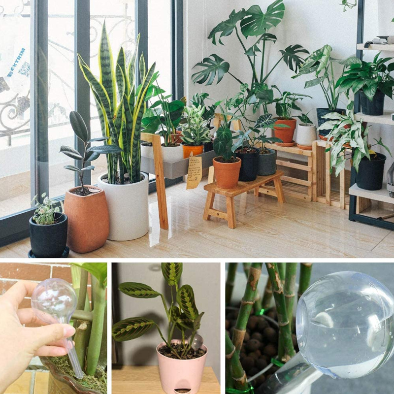 5/10PCS 자동 식물 급수 전구 자체 급수 글로브  - Smart Garden Kit 리뷰 및 가격