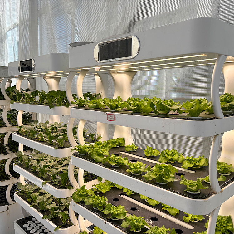 스마트 실내 정원용 화분 - LED 재배등이 장착된 스 - Smart Garden System 리뷰 및 가격